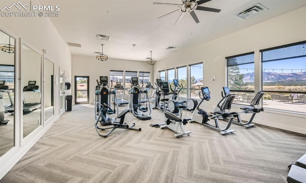 1159 Kelso Place Colorado Springs CO 80921