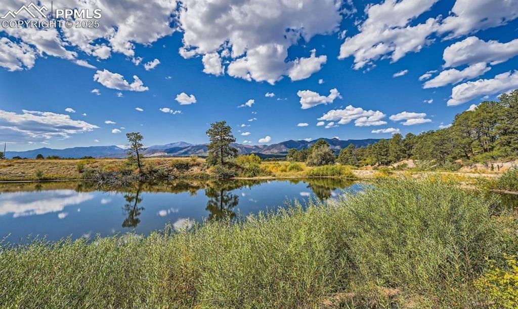 1159 Kelso Place Colorado Springs CO 80921