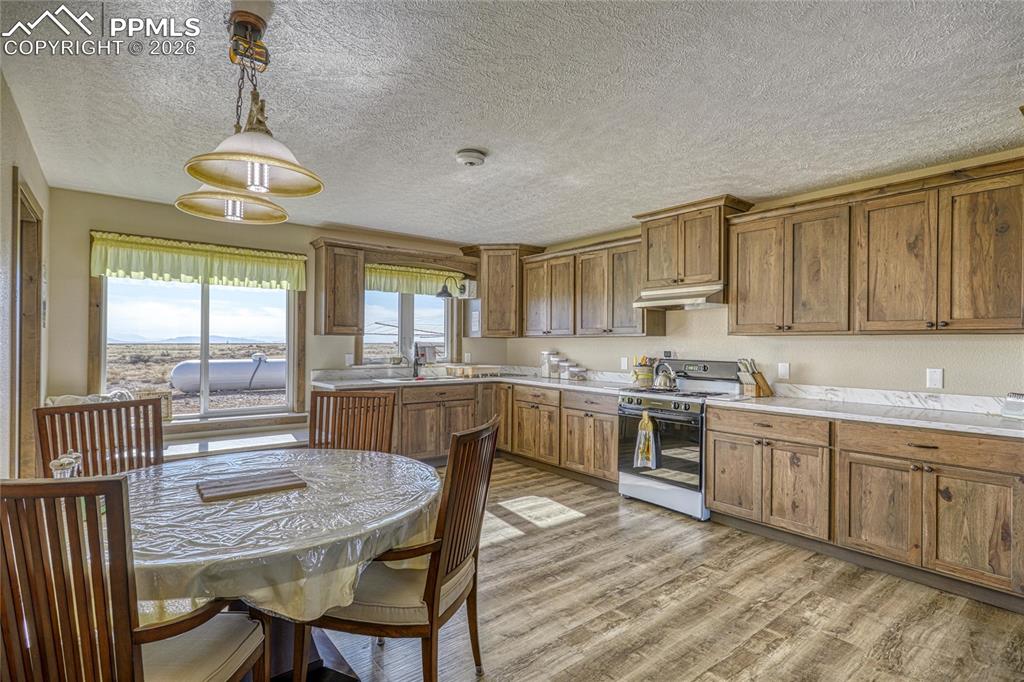 6729 County Road Dd.5 La Jara CO 81140