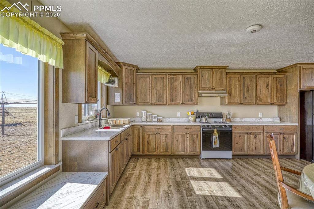 6729 County Road Dd.5 La Jara CO 81140