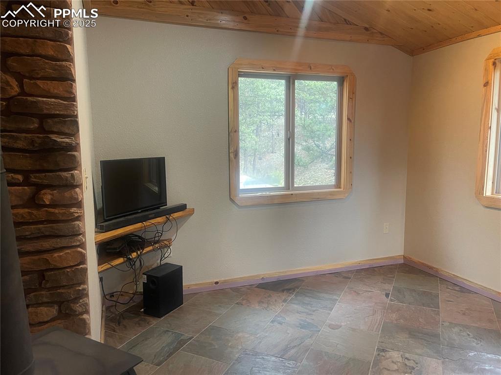 110 Wallace Drive Florissant CO 80816