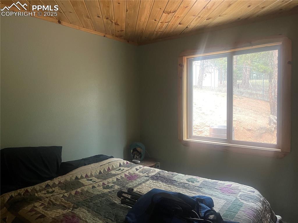 110 Wallace Drive Florissant CO 80816