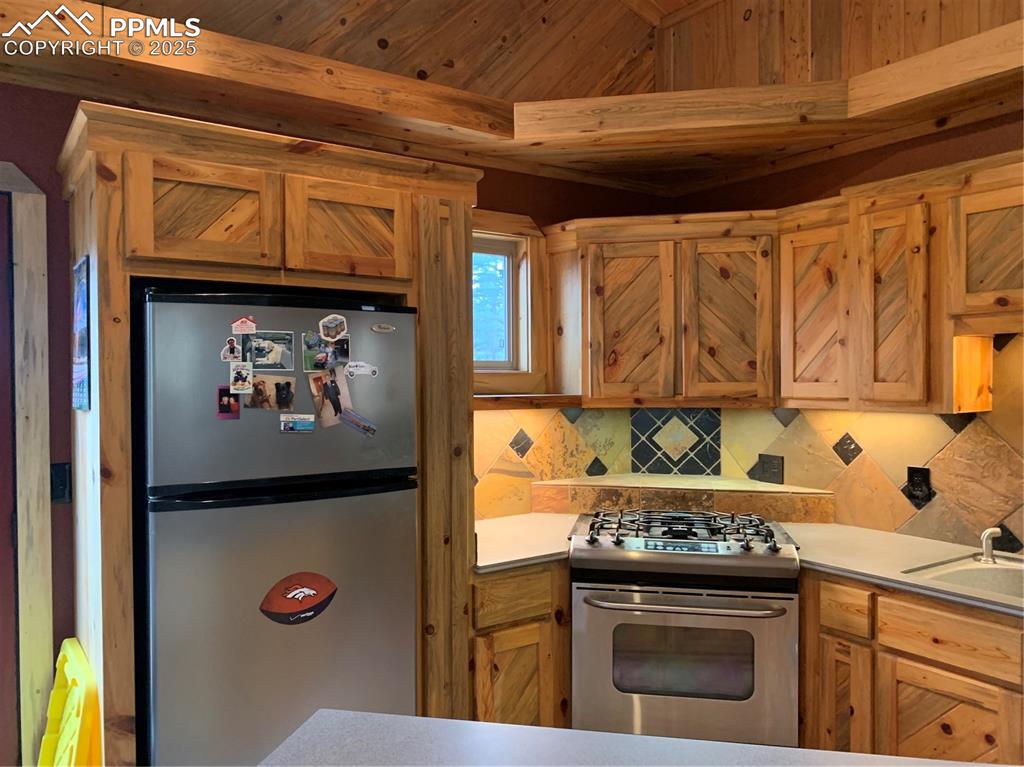 110 Wallace Drive Florissant CO 80816