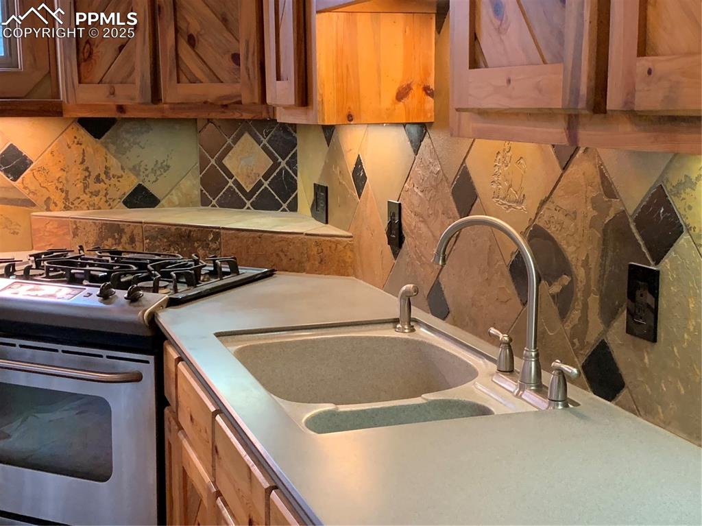 110 Wallace Drive Florissant CO 80816