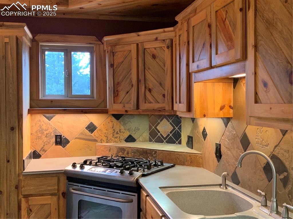 110 Wallace Drive Florissant CO 80816