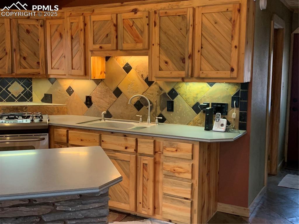 110 Wallace Drive Florissant CO 80816