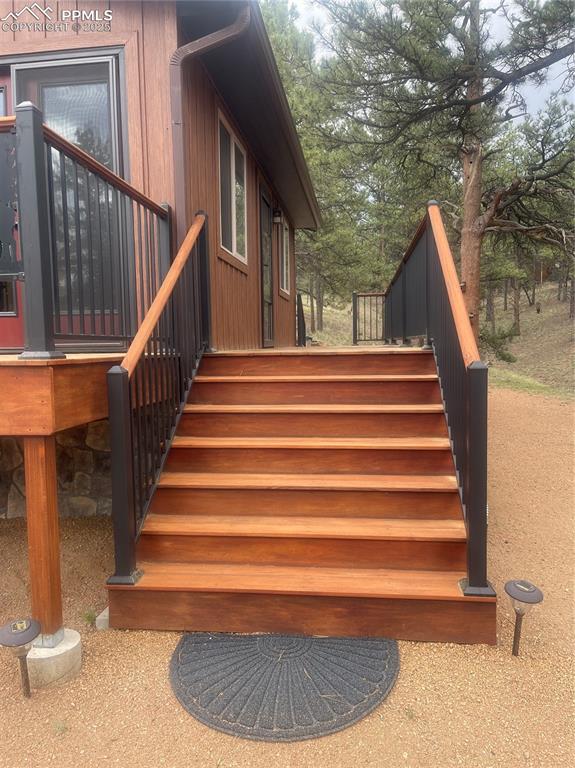 110 Wallace Drive Florissant CO 80816