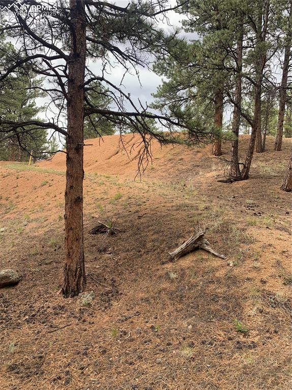 110 Wallace Drive Florissant CO 80816