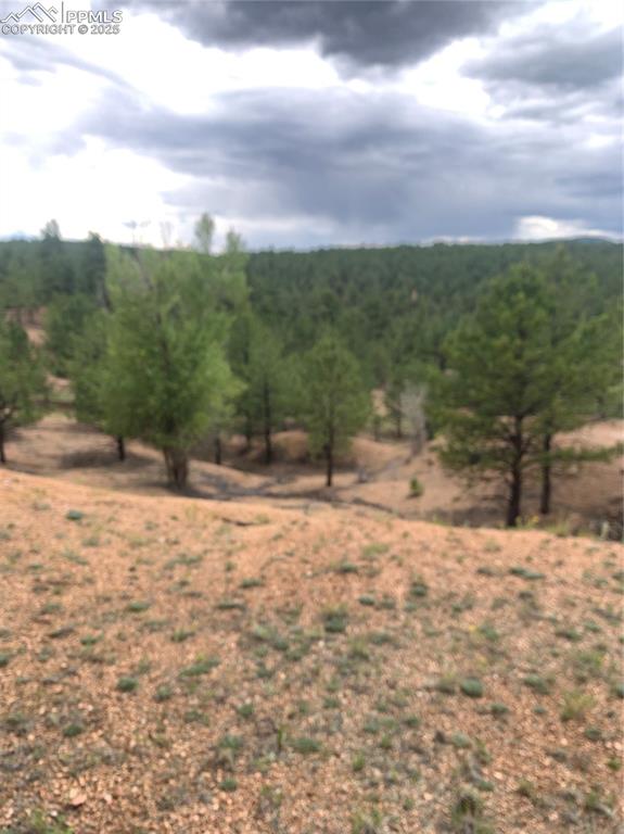 110 Wallace Drive Florissant CO 80816