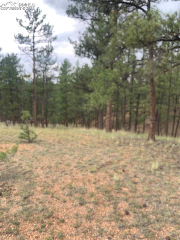 110 Wallace Drive Florissant CO 80816