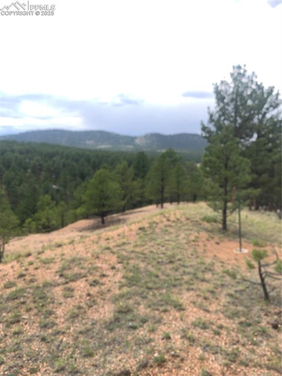 110 Wallace Drive Florissant CO 80816