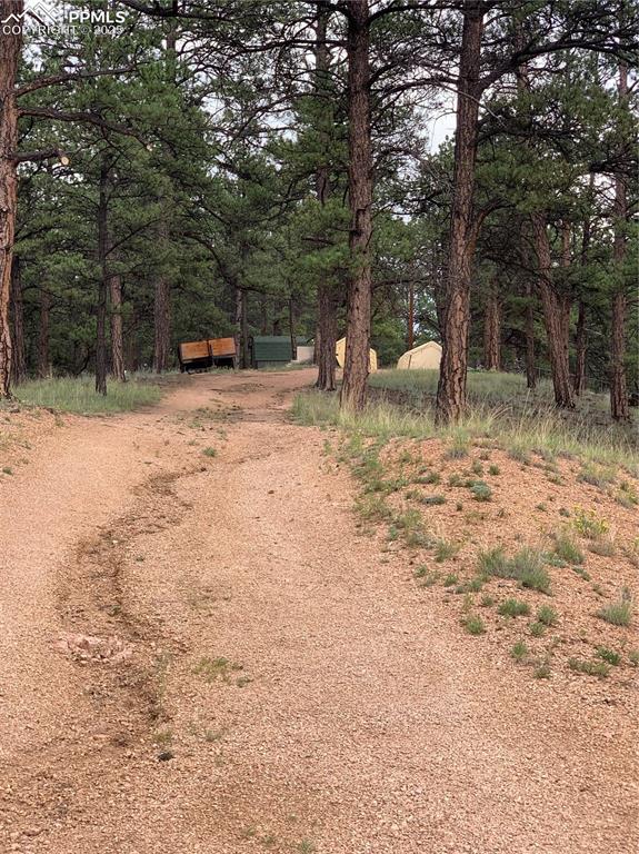 110 Wallace Drive Florissant CO 80816