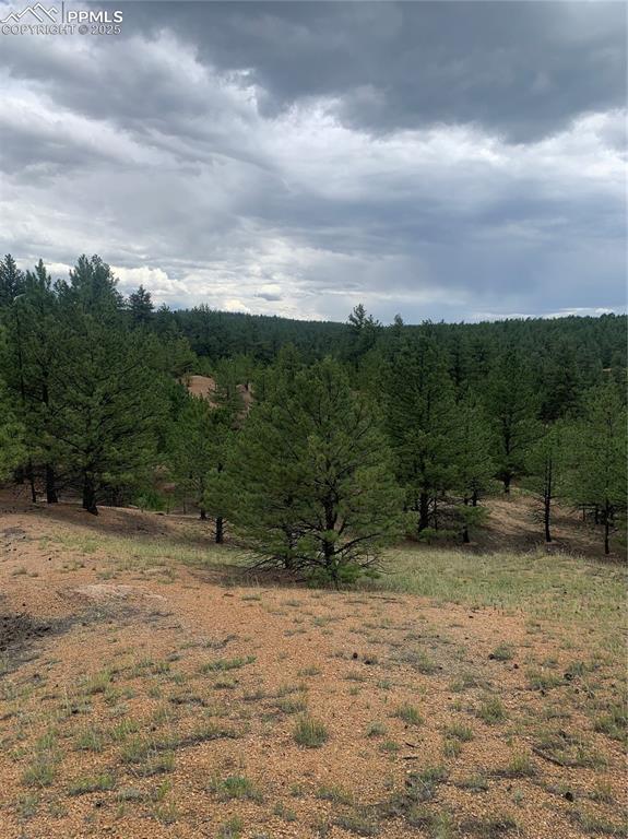 110 Wallace Drive Florissant CO 80816