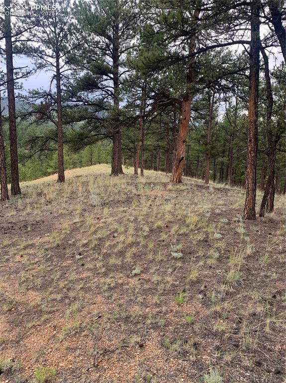 110 Wallace Drive Florissant CO 80816