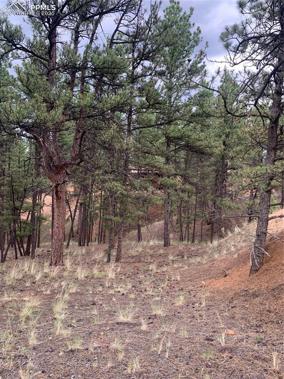 110 Wallace Drive Florissant CO 80816