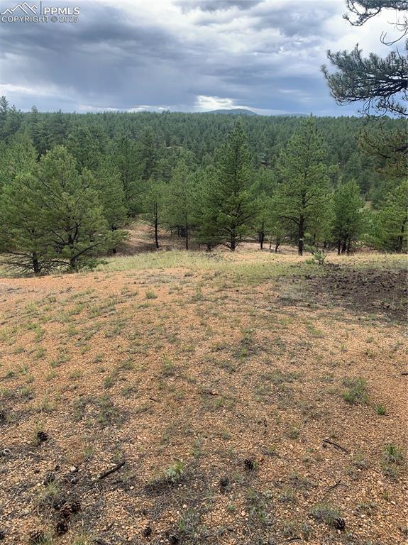110 Wallace Drive Florissant CO 80816