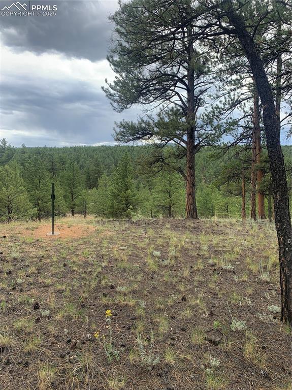 110 Wallace Drive Florissant CO 80816