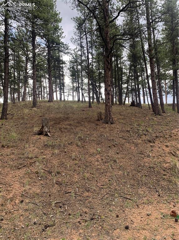110 Wallace Drive Florissant CO 80816