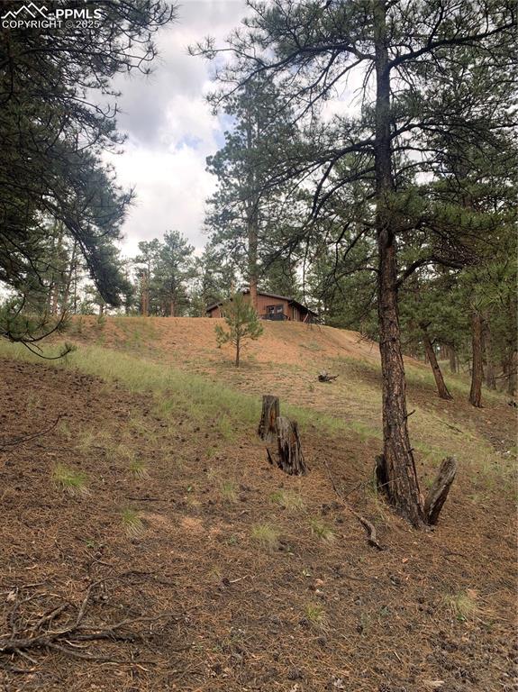 110 Wallace Drive Florissant CO 80816