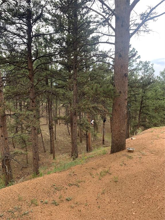 110 Wallace Drive Florissant CO 80816