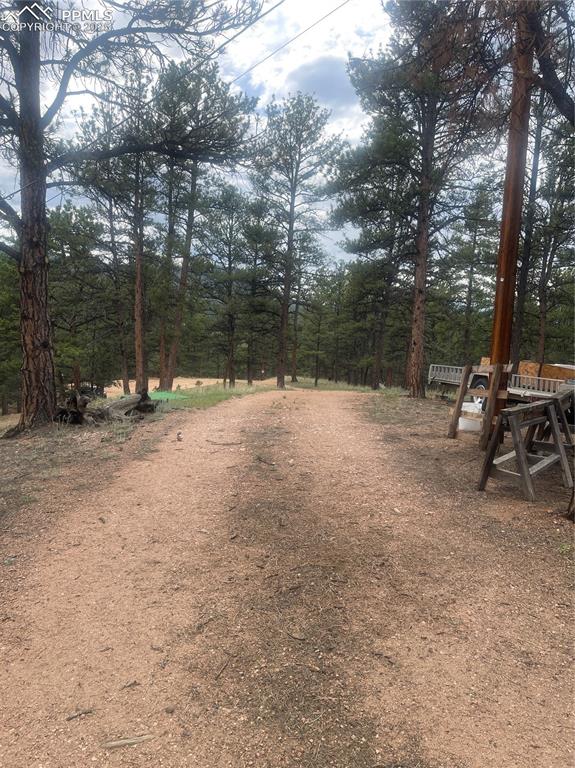 110 Wallace Drive Florissant CO 80816
