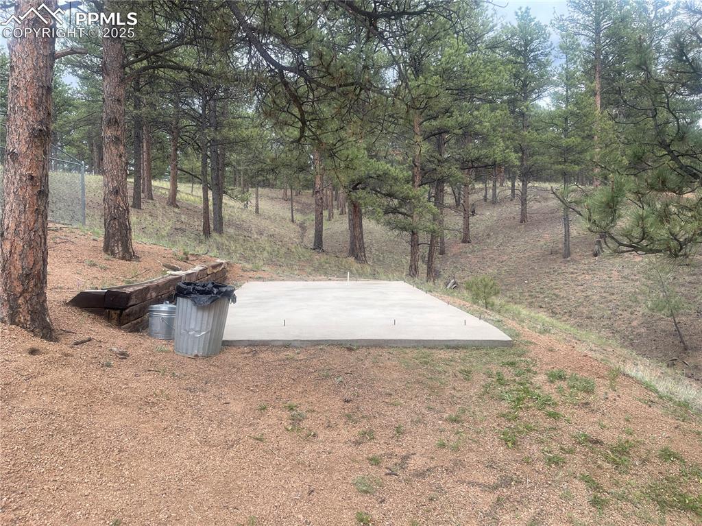 110 Wallace Drive Florissant CO 80816