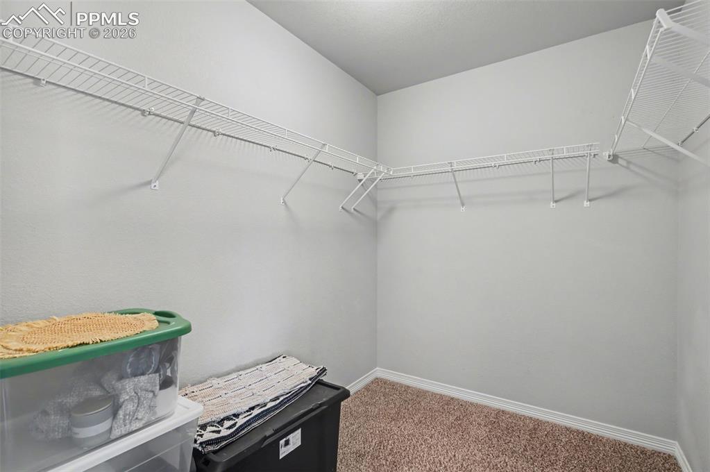 9833 Wando Drive Colorado Springs CO 80925