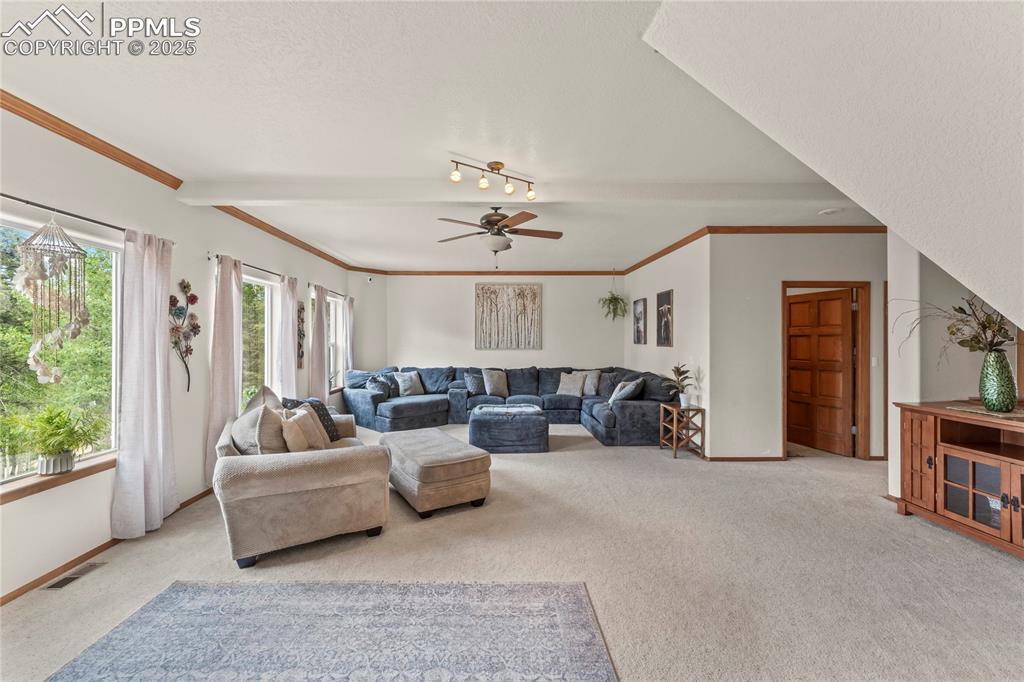 510 Banner Trail Florissant CO 80816