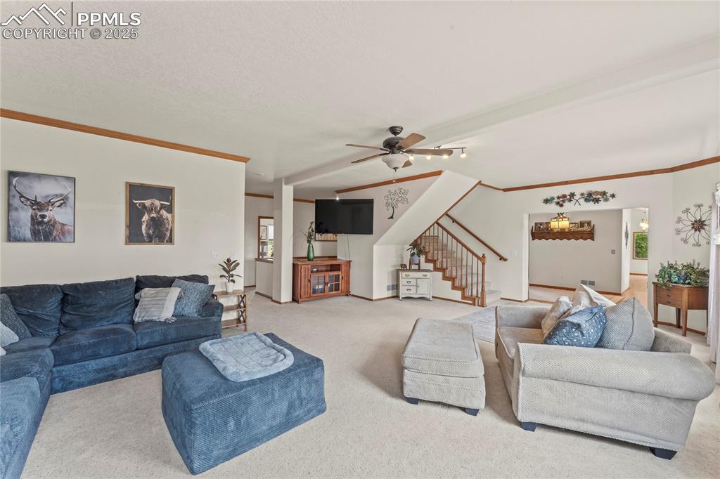510 Banner Trail Florissant CO 80816