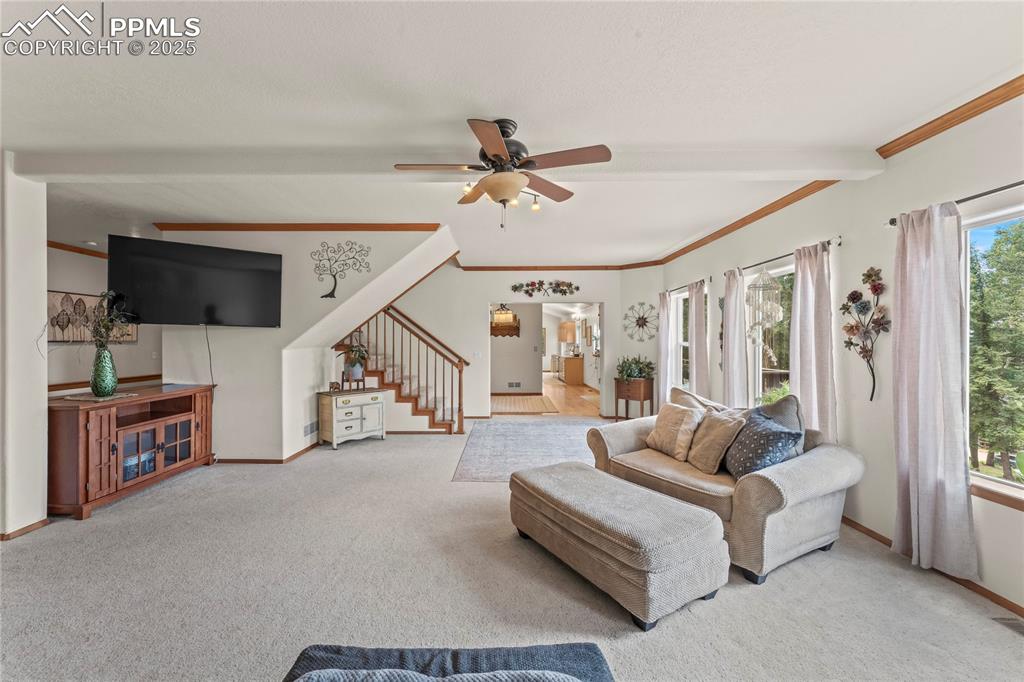 510 Banner Trail Florissant CO 80816