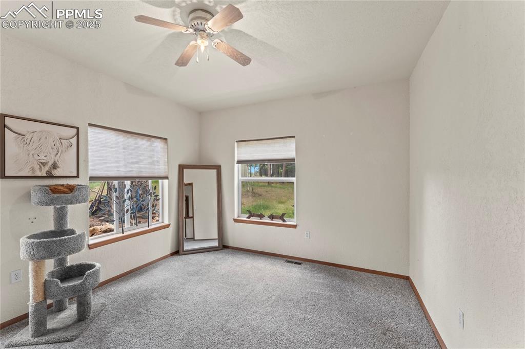 510 Banner Trail Florissant CO 80816