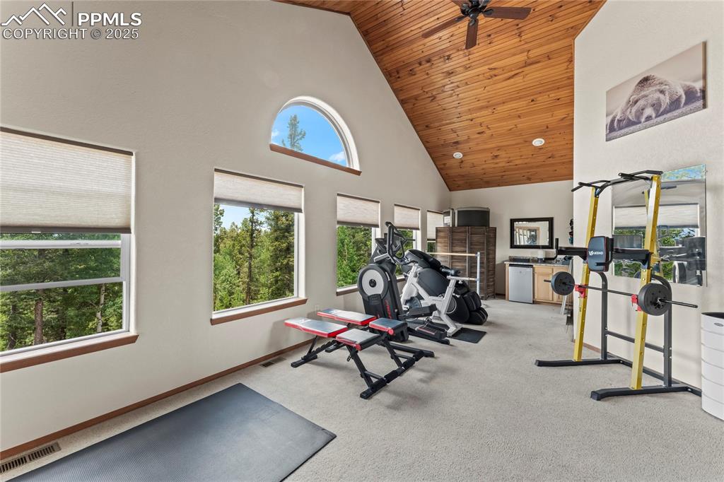 510 Banner Trail Florissant CO 80816