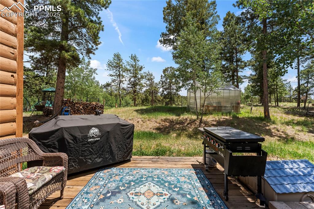 510 Banner Trail Florissant CO 80816