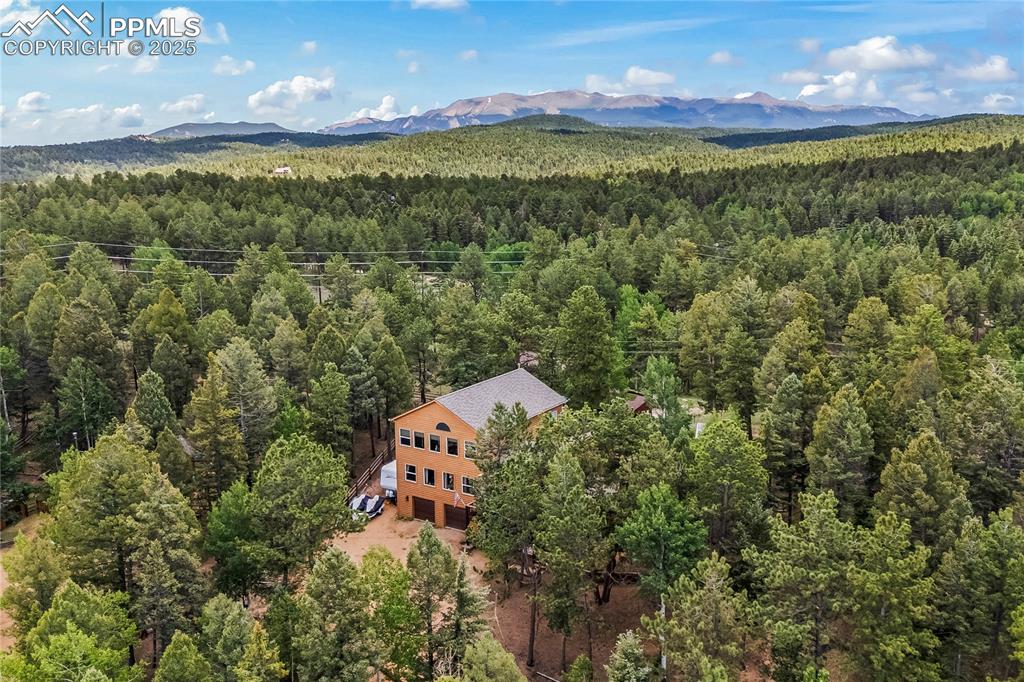 510 Banner Trail Florissant CO 80816
