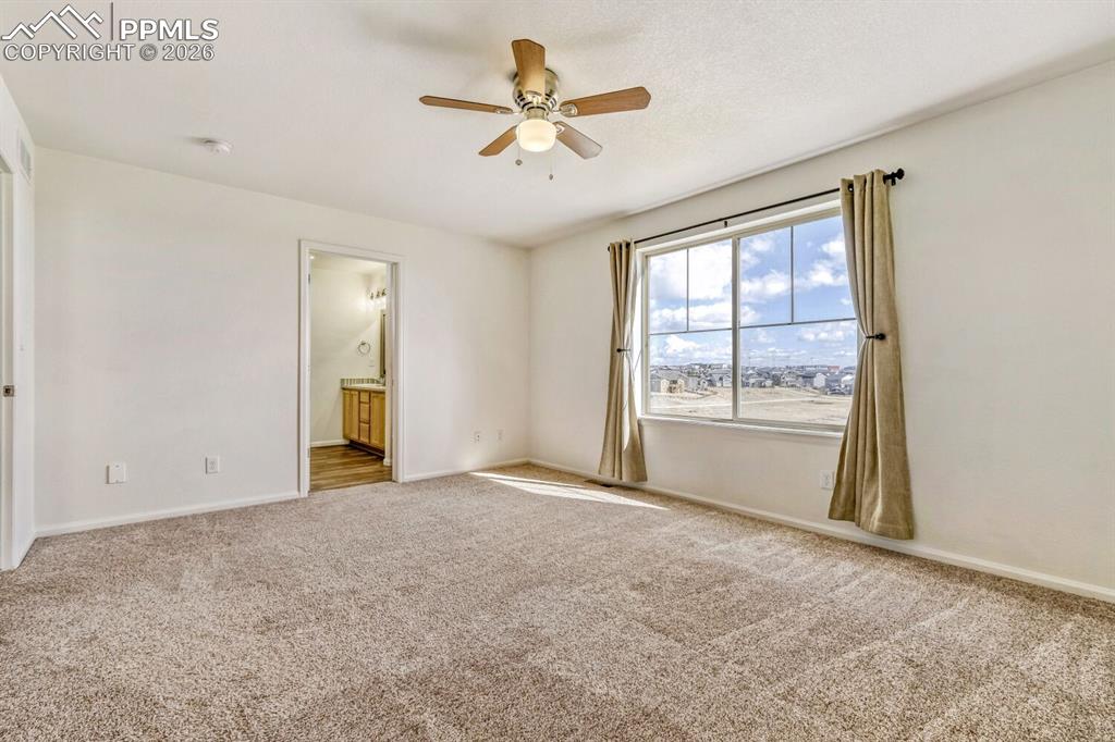 6567 Cottonwood Tree Drive Colorado Springs CO 80927