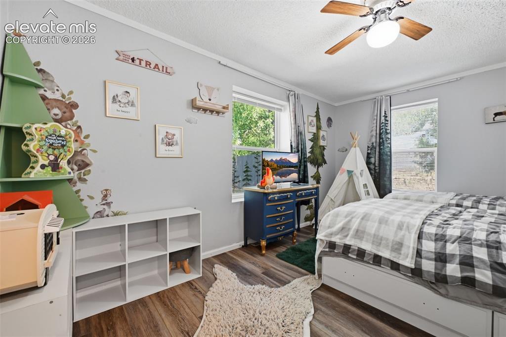 1017 Prairie Road Colorado Springs CO 80909