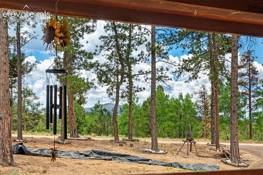 897 Fossil Creek Road Florissant CO 80816