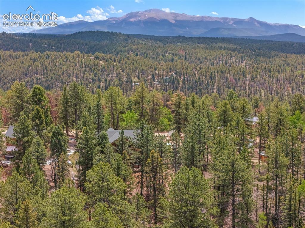 897 Fossil Creek Road Florissant CO 80816