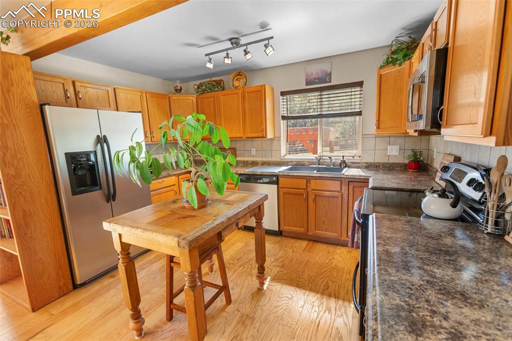 481 Black Bear Trail Woodland Park CO 80863