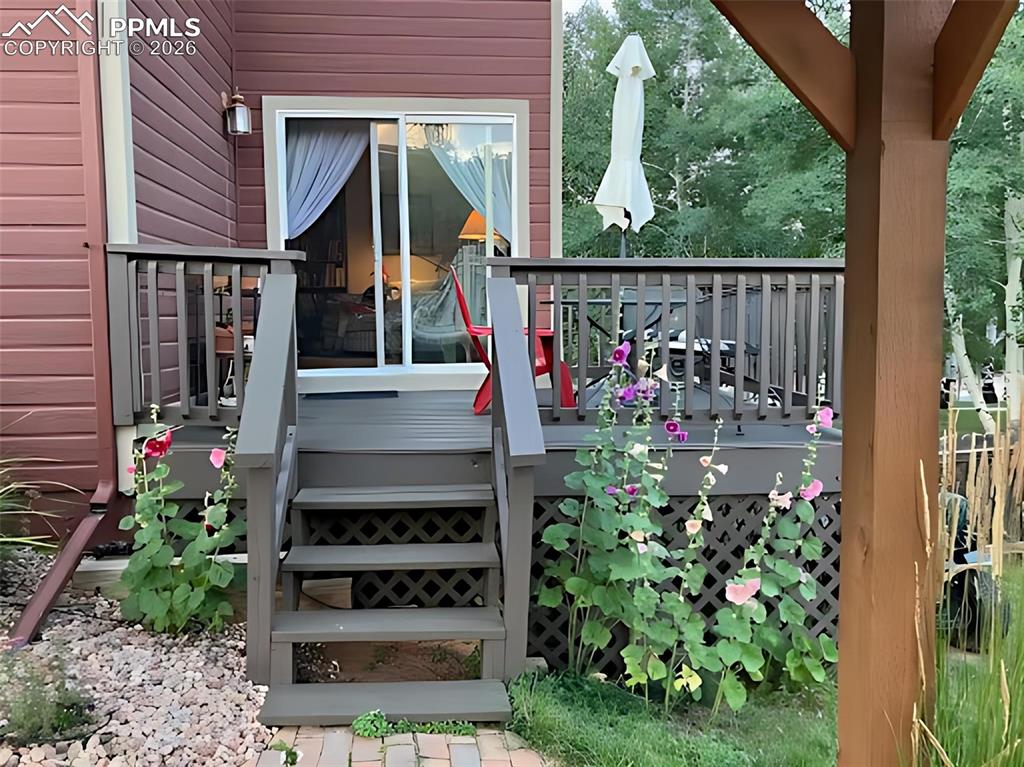 481 Black Bear Trail Woodland Park CO 80863
