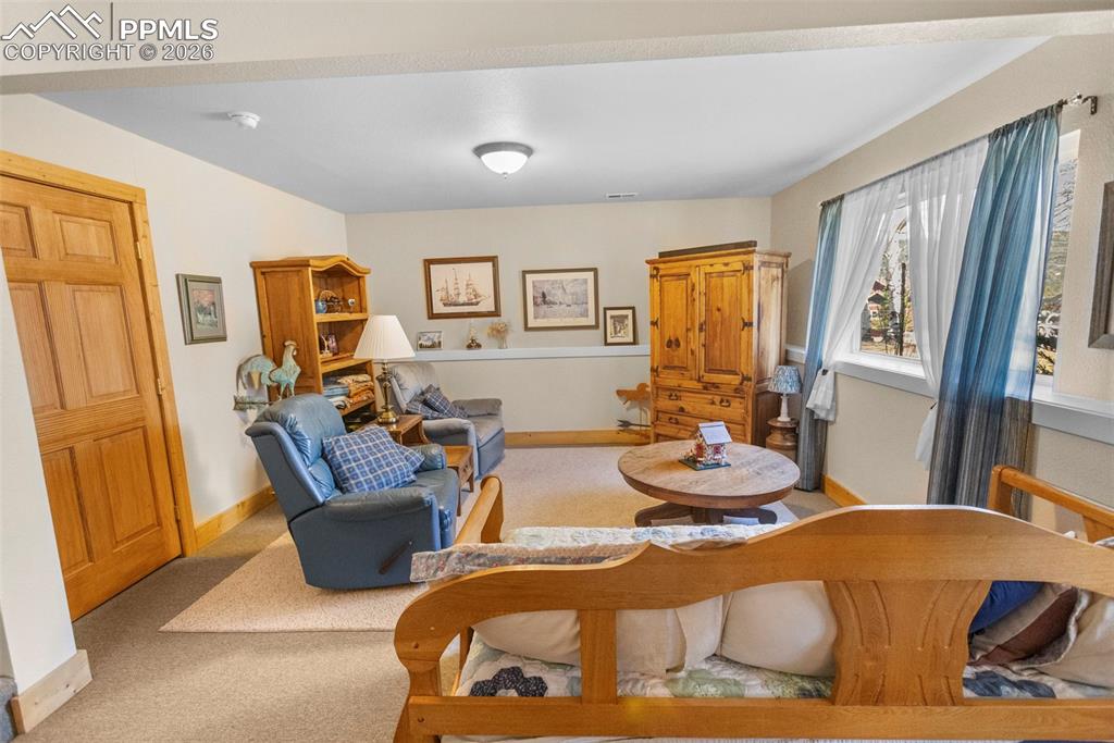 481 Black Bear Trail Woodland Park CO 80863