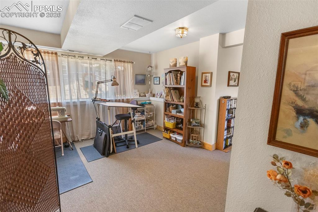 481 Black Bear Trail Woodland Park CO 80863