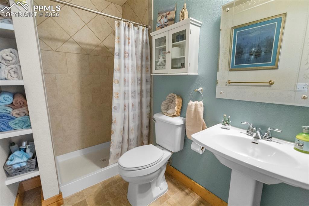 481 Black Bear Trail Woodland Park CO 80863