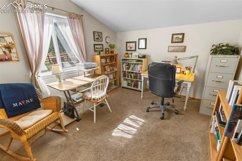 481 Black Bear Trail Woodland Park CO 80863