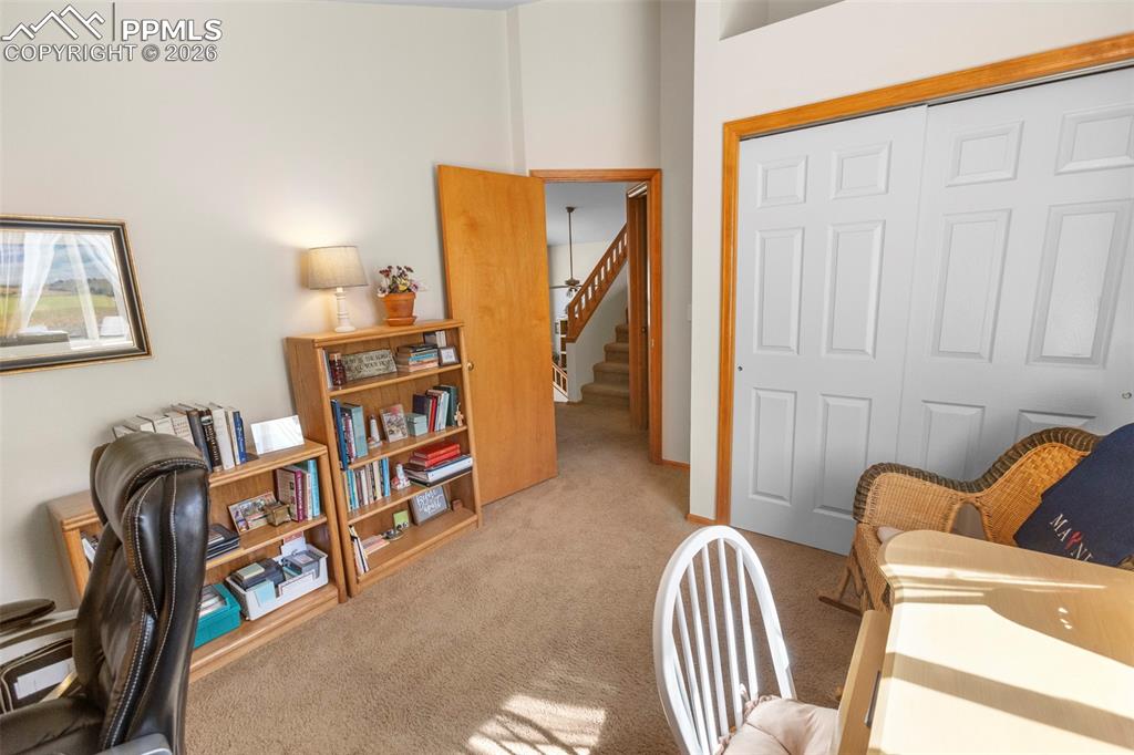 481 Black Bear Trail Woodland Park CO 80863