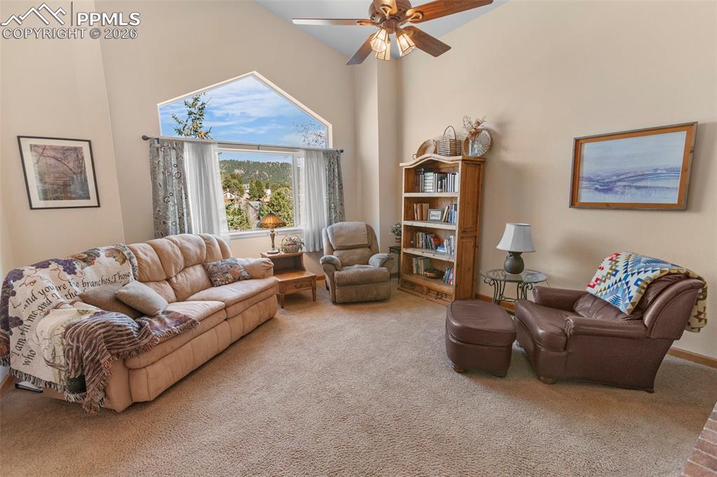 481 Black Bear Trail Woodland Park CO 80863