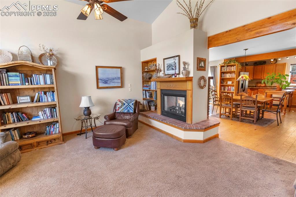 481 Black Bear Trail Woodland Park CO 80863