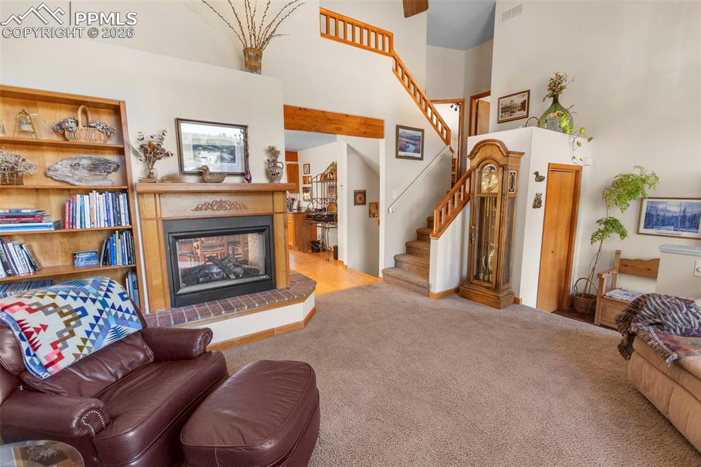 481 Black Bear Trail Woodland Park CO 80863
