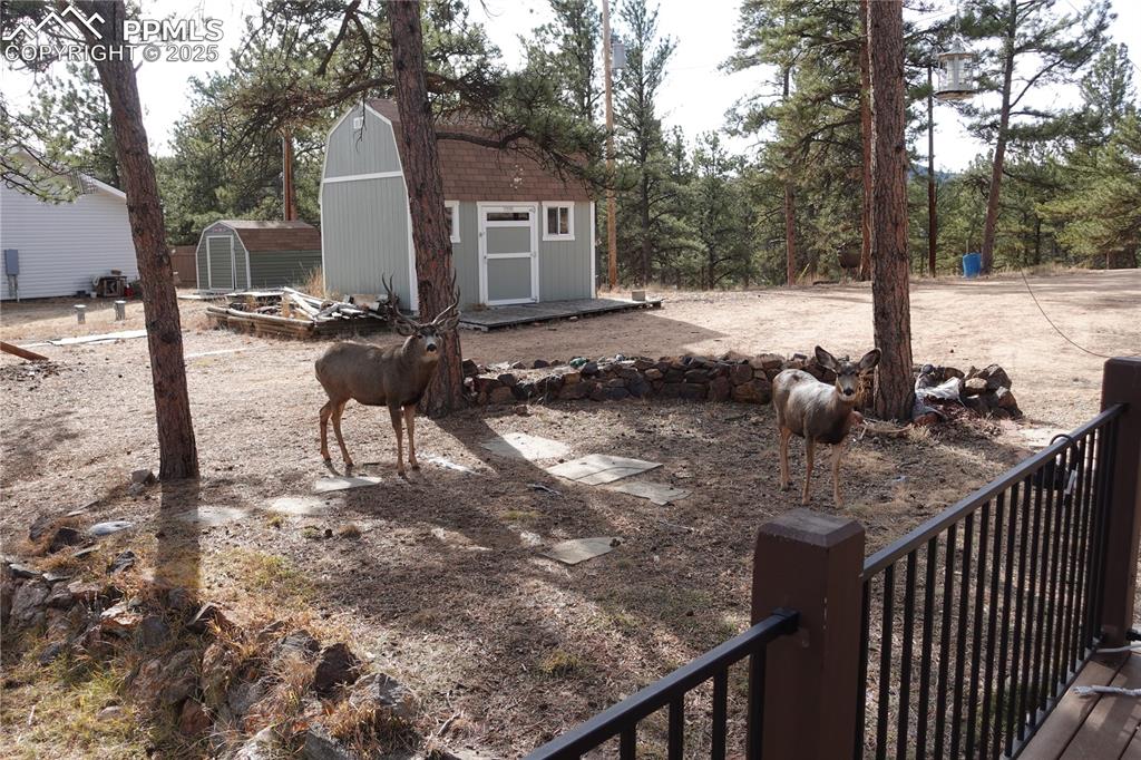 70 Dunlap Road Florissant CO 80816
