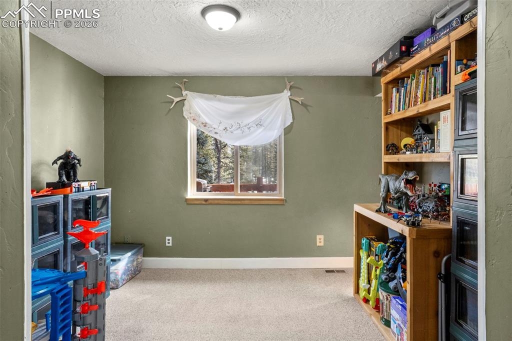 4076 Omer Lane Divide CO 80814